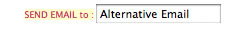 send alternative email